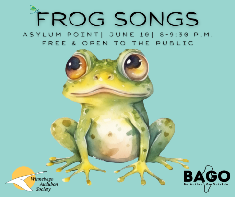 Frog Songs