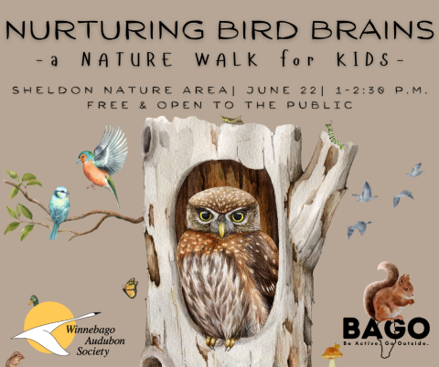 Nurturing Bird Brains